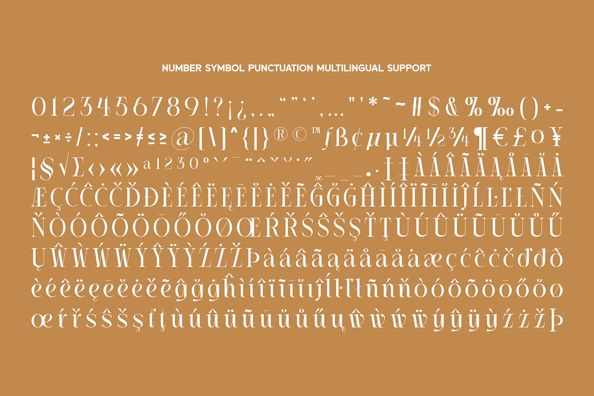 Arseri – Elegant Serif Display Font, a Serif Font by Eotype Studio (Photo 8 of 9)