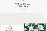 Watercolor White Flowers Collection, a Decorative Illustration by Damian Roh (Thumbnail 7 of 16)