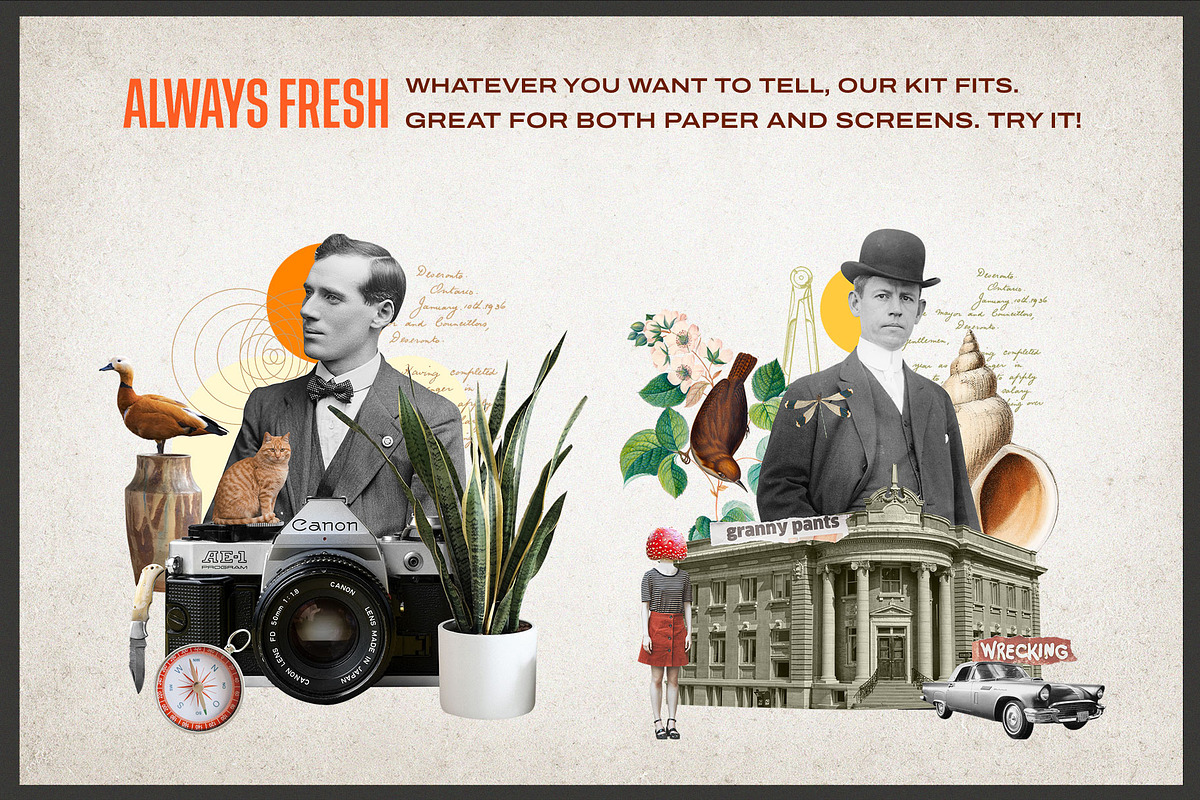 Storytelling and Collage Kit, an Object Illustration by SNIPESCIENTIST (Photo 32 of 44)