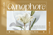 Delmera - Retro Font, a Sans Serif Font by Eztudio (Thumbnail 5 of 12)