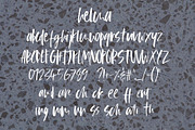 Helma Font, a Script Font by SophieSaxo (Thumbnail 8 of 8)