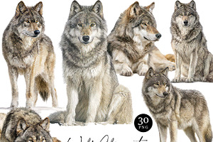 Watercolor Wolf Clipart Set, an Animal Illustration by Design Scotch