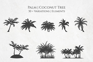 Coconut Palm Tree Silhouette Element