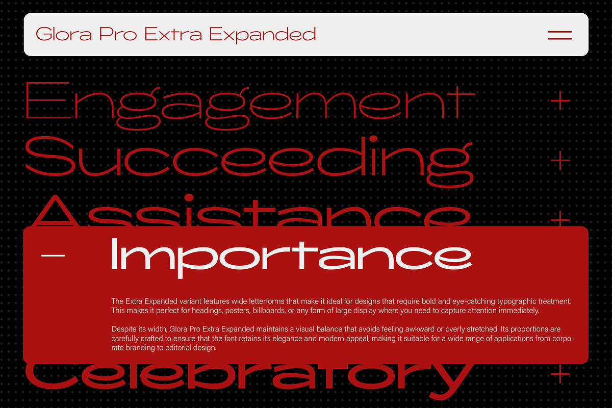 ZT Glora Pro - Variable / 56 Fonts, a Sans Serif Font by zelow type (Photo 10 of 15)