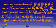 Delicia Pro, a Handwritten Font by Wiescher-Design (Thumbnail 12 of 12)
