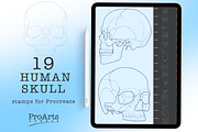 Human Skull Brush Stamp Set, a Brush Add-On by Lucrumplus (Thumbnail 1 of 4)