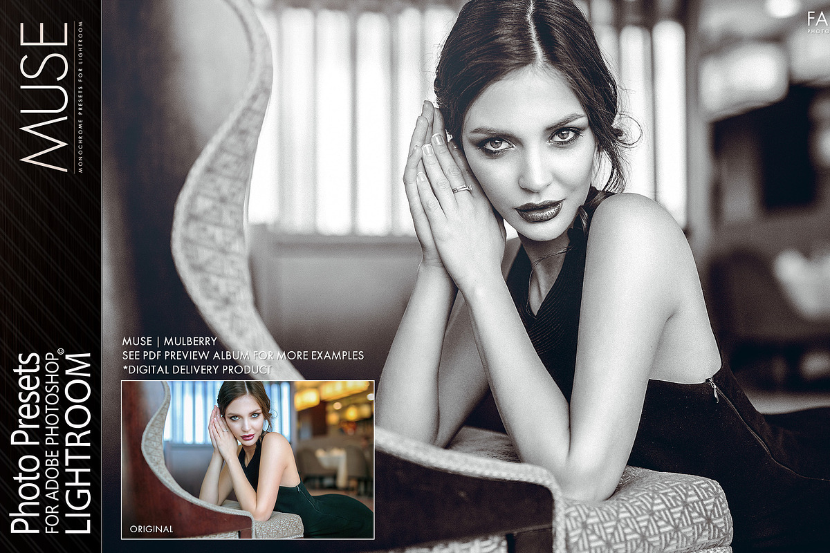 Presets for Lightroom / Fashion, an Action Add-On by Miracle_Design (Photo 6 of 15)