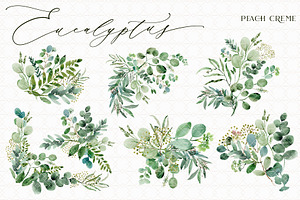 Eucalyptus // Watercolor Set