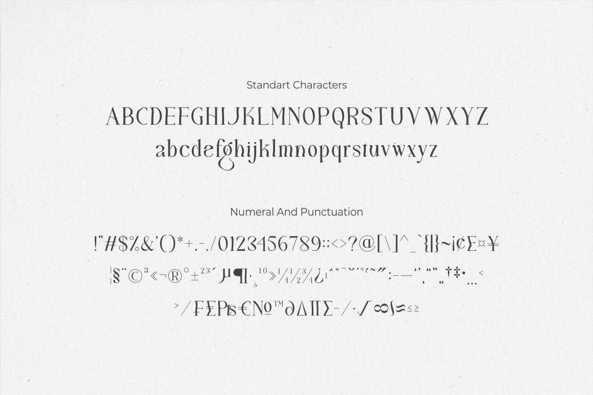 Maglift serif 200+ ligature collecti, a Serif Font by suhadidesign (Photo 11 of 11)