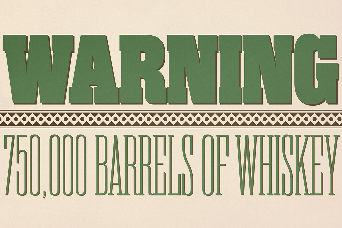 Rama Slab, a Slab Serif Font by Dharma Type (Photo 10 of 10)