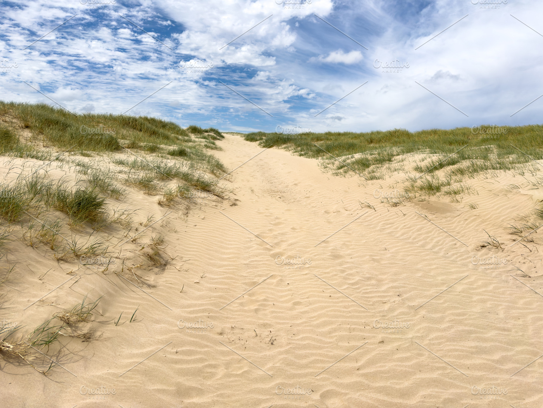Beach Sand Dunes, a Nature Photo by THP Creative