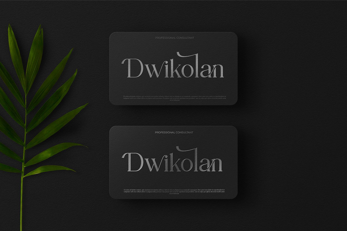 Cyendra || Modern Stylish Serif Font, a Serif Font by Ermedia Studio (Photo 3 of 10)