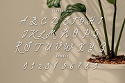 Kaldera, a Handwritten Font by GlottaTypeface (Thumbnail 5 of 8)