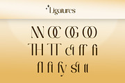 Annyra - Modern Luxury Sans Font, a Sans Serif Font by Flawless And Co (Thumbnail 9 of 10)