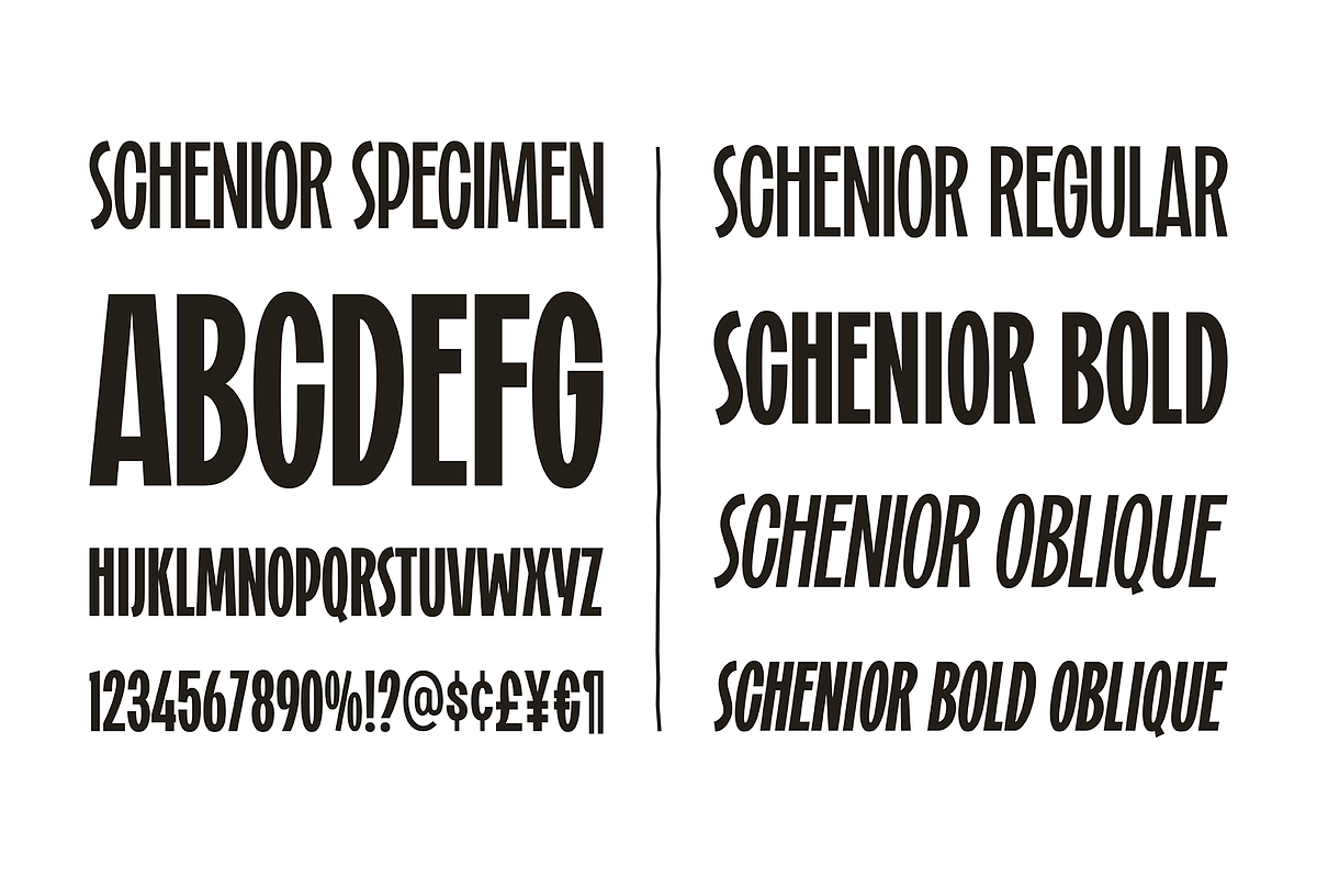 Schenior, a Font by A.Budianto (Photo 6 of 6)