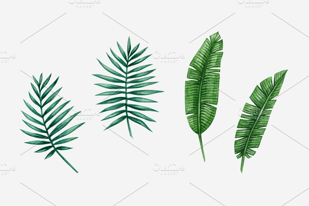 Vector Watercolor Tropical set, a Decorative Illustration by Bigio Designs (Photo 3 of 4)