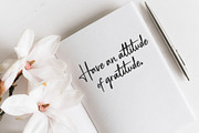 Beach Cabana Signature Font, a Font by ReveryWorks (Thumbnail 19 of 21)