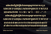 Blish Gham, a Font by Fontastic (Thumbnail 11 of 13)