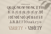 Amarisa - Luxury Editorial Font, a Serif Font by Sensatype (Thumbnail 10 of 12)