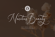 Gladyamor | Modern Calligraphy, a Script Font by Denustudios (Thumbnail 3 of 12)