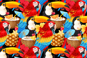 Macaw And Toucan Patterns