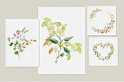 Gorgeous Greenery Illustration set, a Decorative Illustration by Art pages (Thumbnail 2 of 6)