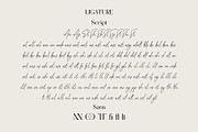 Cellien | Font Duo, a Script Font by Lemonthe (Thumbnail 7 of 8)