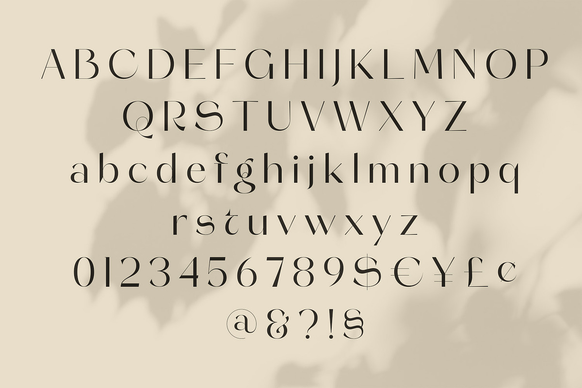 Molgeth - Aesthetic Sans Serif, a Sans Serif Font by Variatype (Photo 12 of 15)