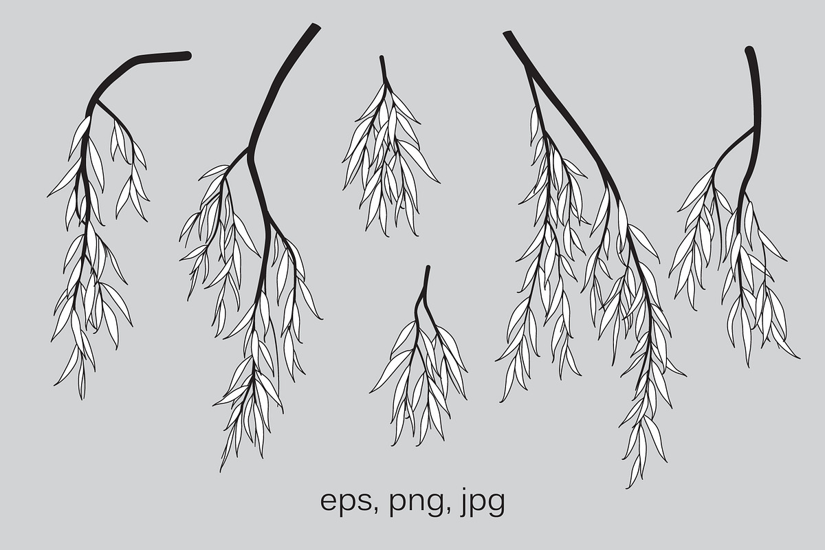 Weeping Willow Branches, a Decorative Illustration by Valentyna Smordova (Photo 5 of 7)
