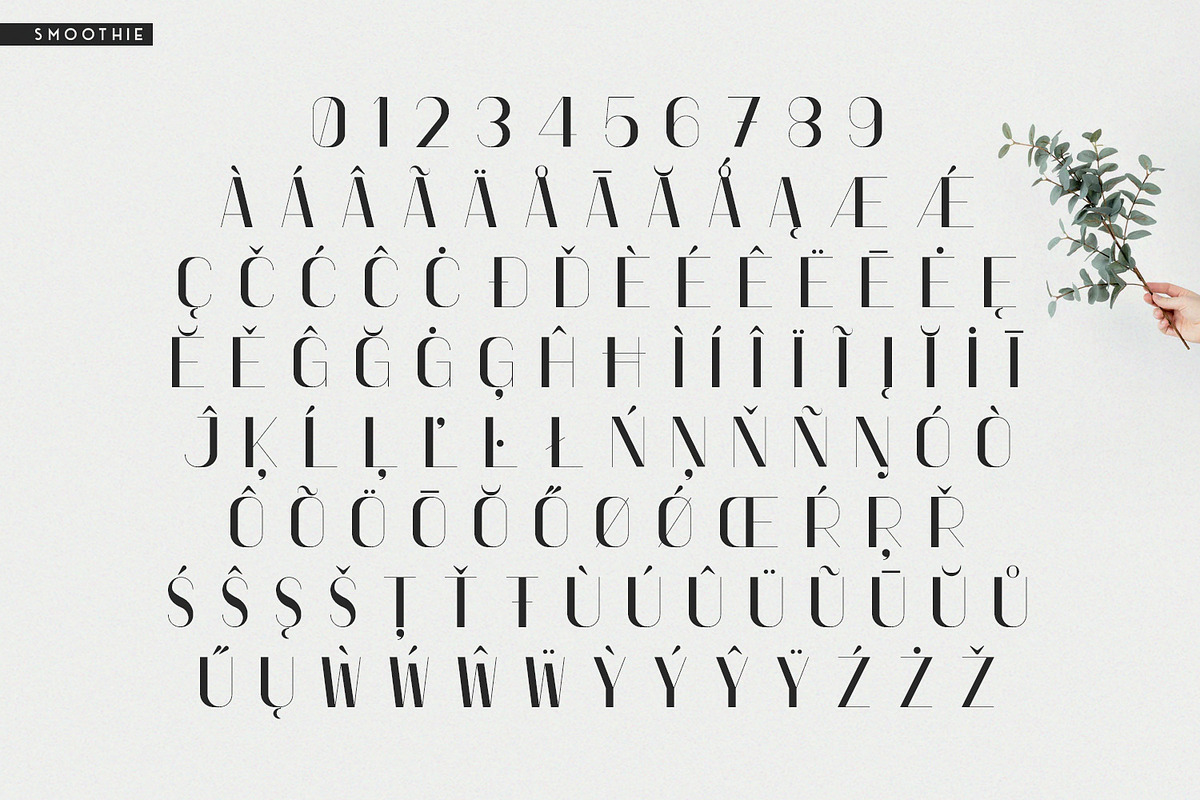 Smoothie Font Duo, a Script Font by FactoryType Studio (Photo 10 of 10)