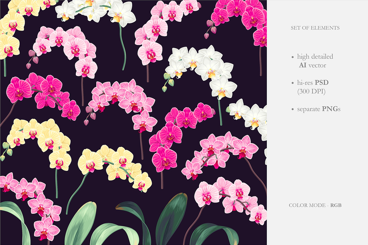 Orchid Patterns, a Pattern Graphic by GreyLilac (Photo 4 of 9)