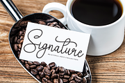 Amsterdam | Script Font, a Handwritten Font by Scratchones (Thumbnail 3 of 9)
