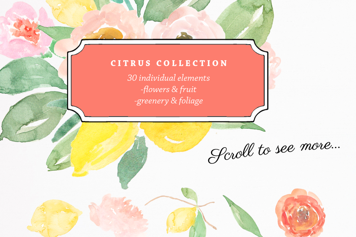 Citrus Watercolor Clipart, an Illustration by Emerald & Ivy Studios (Photo 2 of 4)