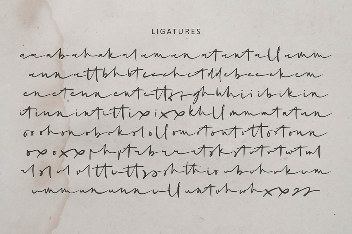 Mrs Santhi, a Script Font by Abo Daniel Studio (Photo 12 of 13)