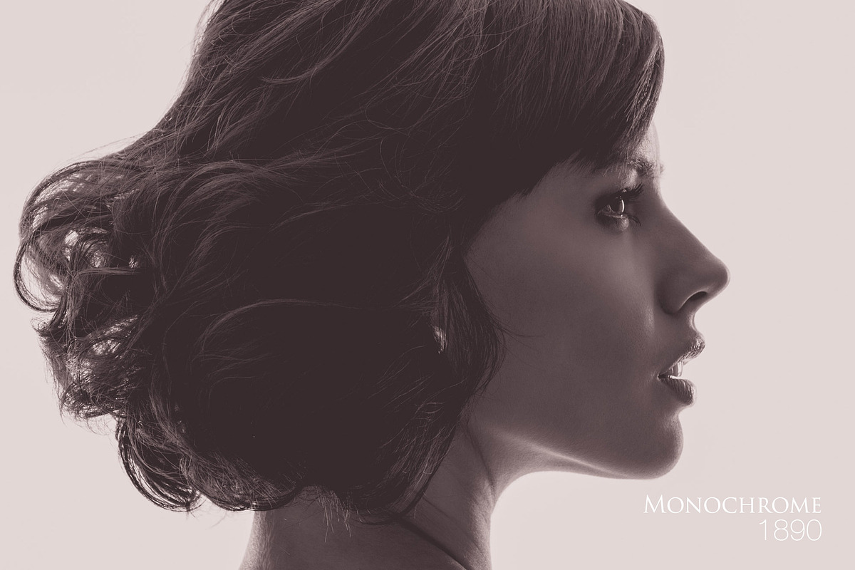 SALE! MONOCHROME Portrait Presets preview 2