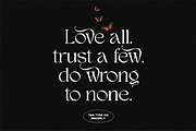 TAN - WAVERLY, a Serif Font by TanType (Thumbnail 3 of 22)