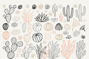 PASTEL Cactuses & Succulents BIG Set, a Decorative Illustration by Iraida_Bearlala (Thumbnail 3 of 13)