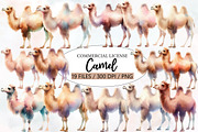 Watercolor Camel clipart, an Illustration by Designworld (Thumbnail 1 of 5)