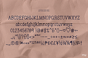 Excusez Moi - A Charming Font Duo, a Serif Font by Mix Fonts (Thumbnail 2 of 5)