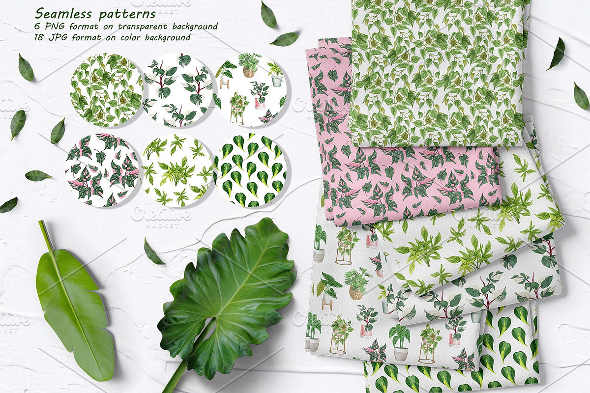 Philodendron Plans Watercolor Set, a Decorative Illustration by BarvArt (Photo 5 of 7)