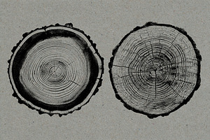 26 Large Tree Ring Textures