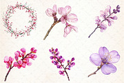 Spring Redbud Flower Clipart, an Illustration by Libby Wishes (Thumbnail 6 of 7)