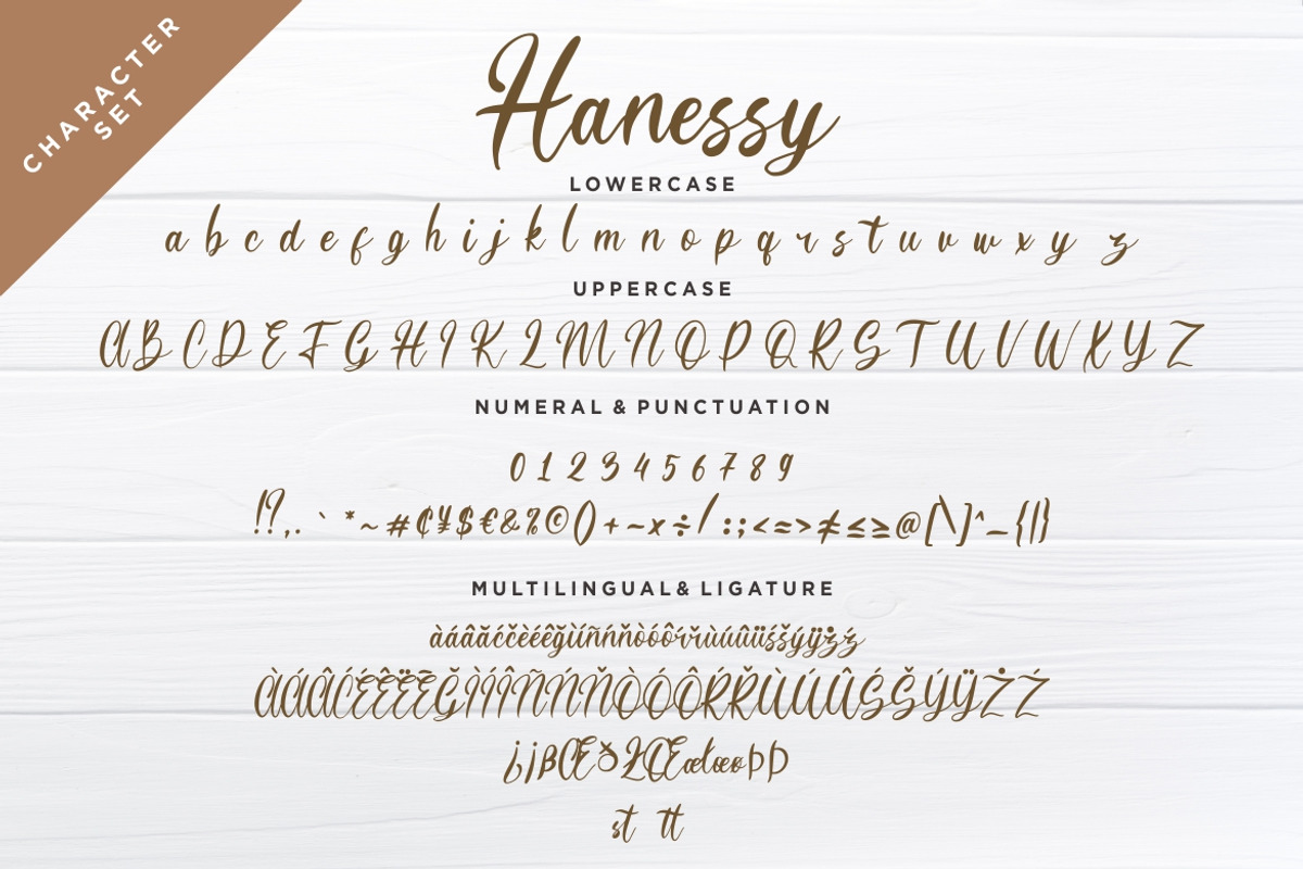 Hanessy Business Font preview 7