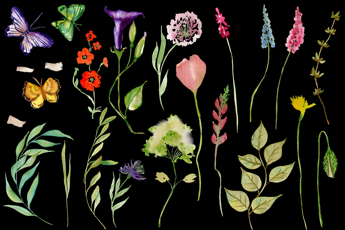 Nature Collection watercolour flower, a Decorative Illustration by ElenazlataArt (Photo 4 of 8)