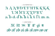 Negita Serif Font, a Serif Font by Idea Studio (Thumbnail 12 of 12)