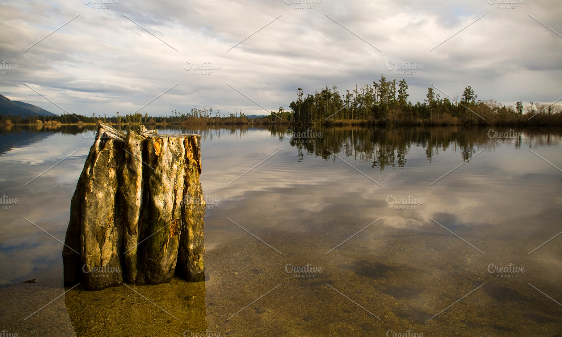 Lake Reflections New Zealand, a Nature Photo by THP Creative