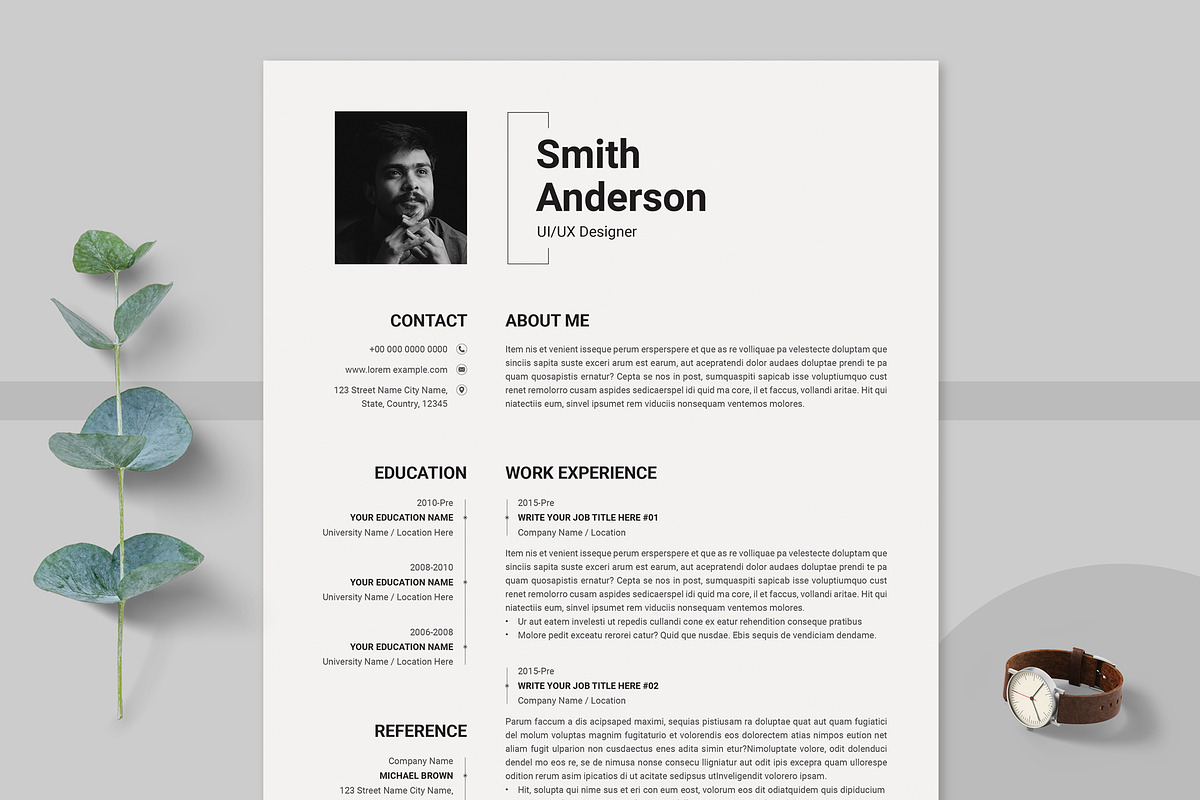 Professional Resume and Cover Letter preview 3
