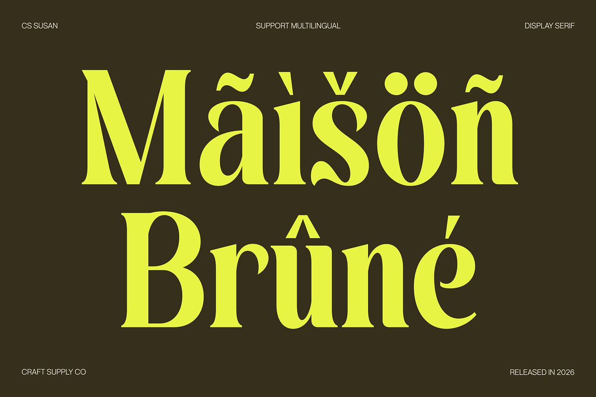 CS Susan – Classic Serif Font, a Serif Font by Craft Supply Co. (Photo 6 of 8)