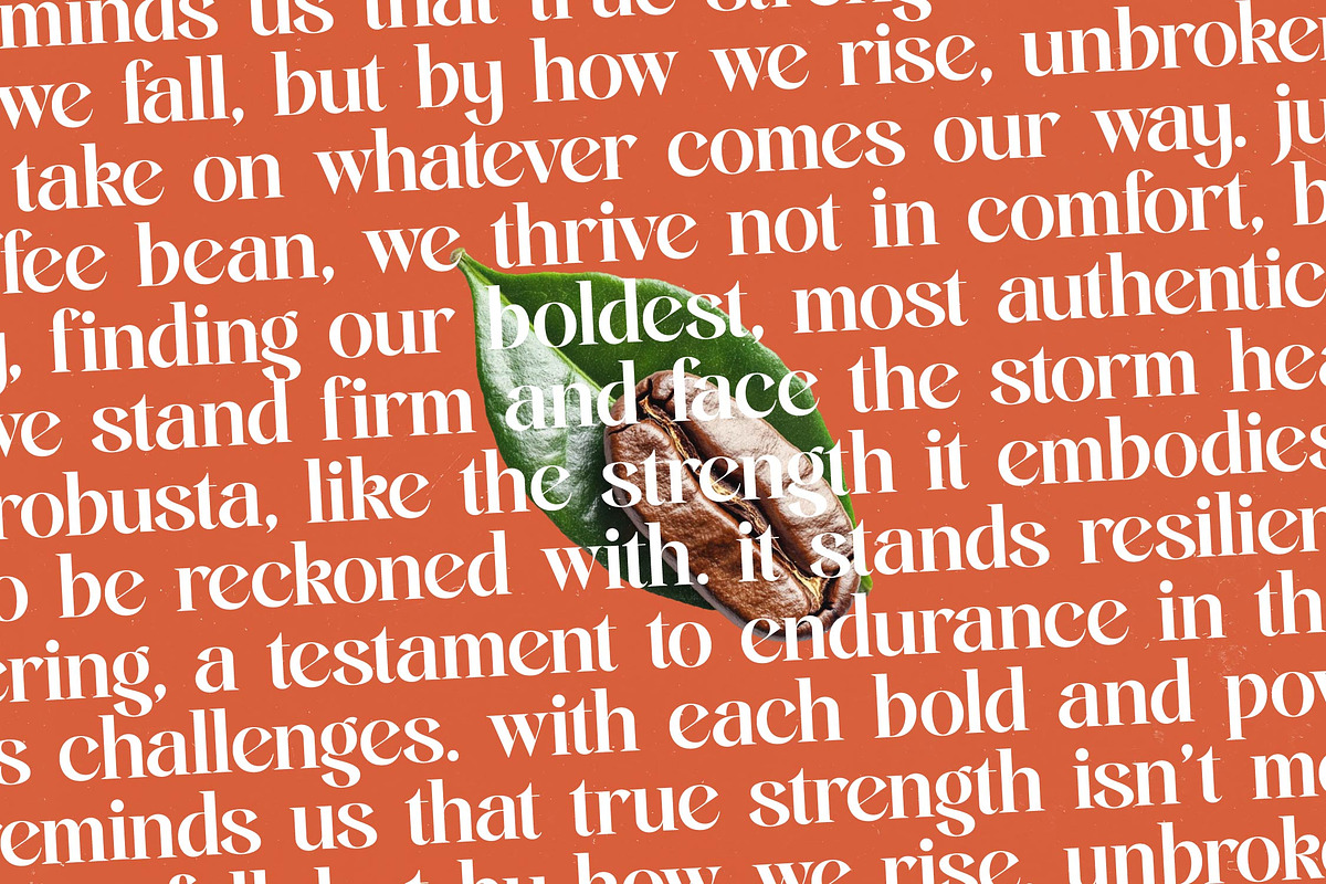 Single Robusta Modern Display Serif, a Serif Font by timelesstype.co (Photo 10 of 20)