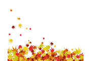 Autumn Leaves Border Set, a Decorative Illustration by Pavel Vectors (Thumbnail 3 of 8)